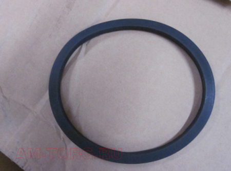 ��������� ������ ���������� (�������� ���) (��) 1016003499 