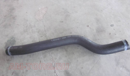 �������� ��������� ��������� (��) 1136000144 