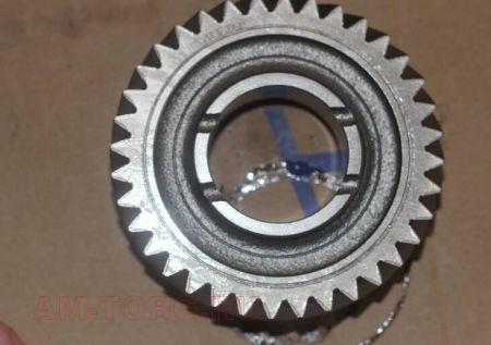 �������� 2 �������� ���������� ���� (��) 3170113101 