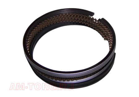 ������ ��������� (0,25) (��) 472-BJ1004030BA 