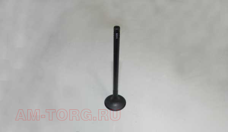 ������ �������� (��) 473H-1007011CA 