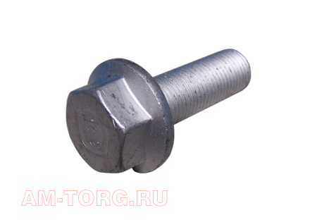 ���� (��) 481F-1006074 