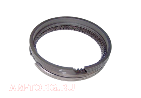 ������ ��������� (0,00) 1,6 (��) 481H-1004030 