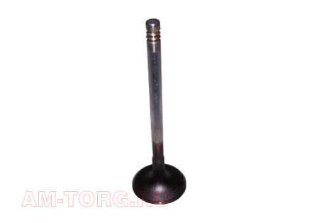 ������ �������� (��) (��) 481H-1007011BA 