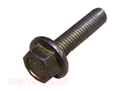 ���� (��) 481H-1007082 