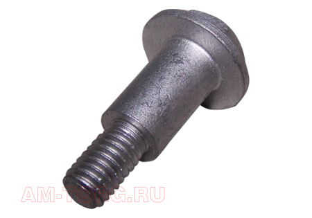 ���� (��) 481H-1007082 