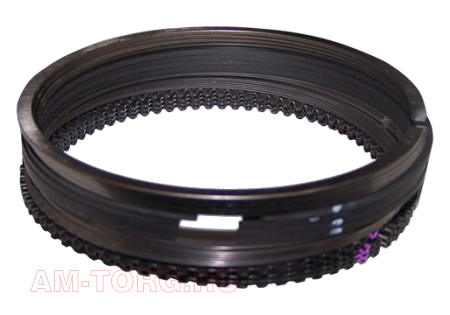 ������ ��������� (0,25) (��) 481H-1004030BA 