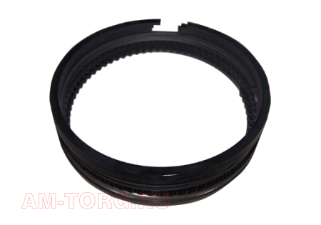 ������ ��������� (0,25) 2,0 (��) 484J-1004030BA 