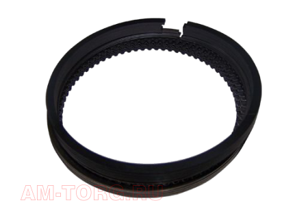 ������ ��������� (0,50) (��) 484J-1004030CA 