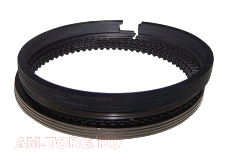 ������ ��������� (0,50) (��) 484J-1004030CA 