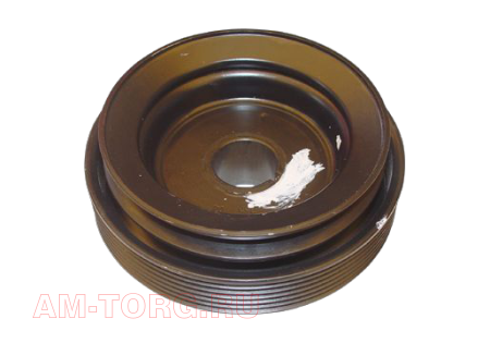 ���� ��������� (��) A11-1005210 