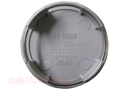 ������ ������ (����� ����) (��) A11-3100520 