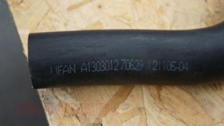 �������� ��������� ���������� ������ ��������� (��) A1303012 