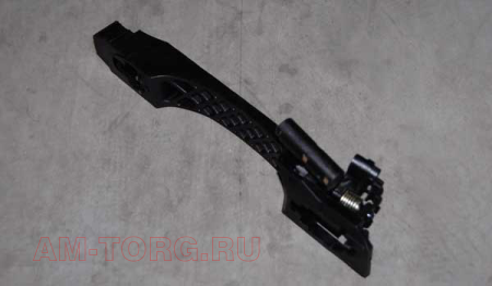 ����� ����� ������ ����� �������� (���������� �����) (��) A13-6205230 