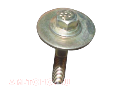 ���� (��) B11-5205223 