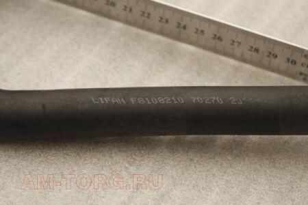 ����� ��������� ��������� �������� (��) F8108210 