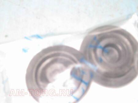 �������� (��) JQ728212 