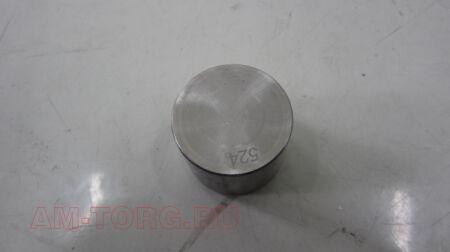 ��������� ������� 5,24 (��) LF479Q3-1007020A-10 