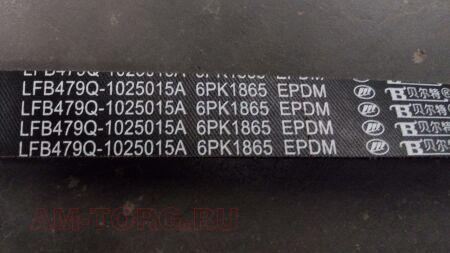 ������ ��������� 6��1865 (��) LFB479Q-1025015A 