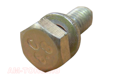 ���� ������� (��) Q1400616 