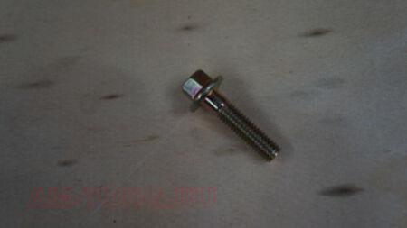 ���� (��) Q1840625 