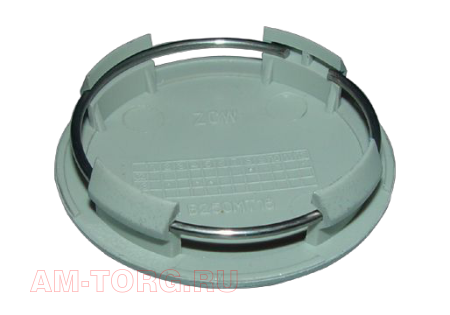 ������ ������ (����� ����) (��) S11-3100510AM 