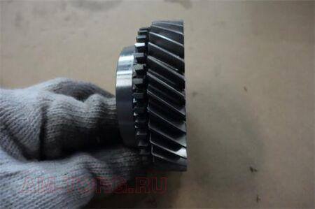 �������� 5 �������� ���������� ���� (S1701057C) (��) S1701057C1 