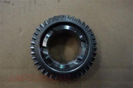 �������� 5 �������� ���������� ���� (S1701057C) (��) S1701057C1 