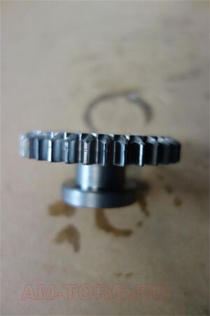 �������� ������� ���� (��) S1701080A1 