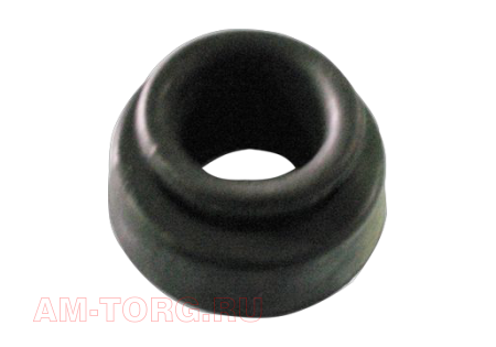 ����� ������������ ��������� (�������� �����) (��) S21-2901013 