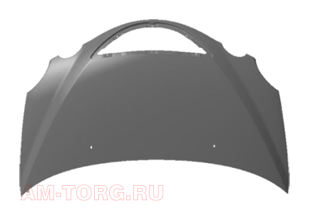 ����� (��) S21-8402010-DY 