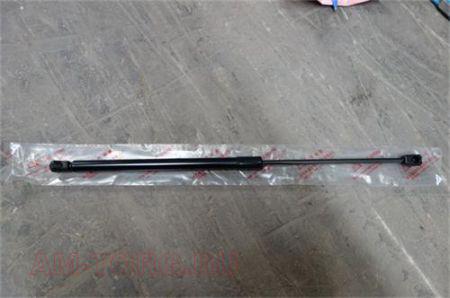 ����������� ��������� (��) S6309110B1 