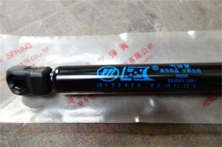 ����������� ��������� (��) S6309110B1 