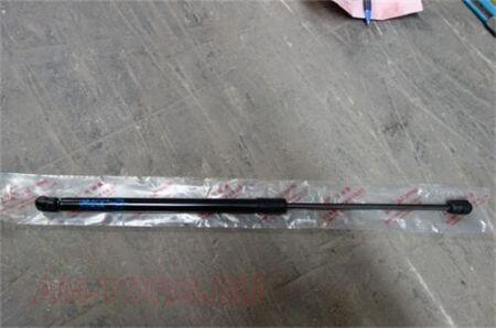 ����������� ��������� (��) S6309110B1 