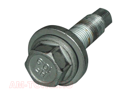 ���� ���������� (��) T11-2810011 