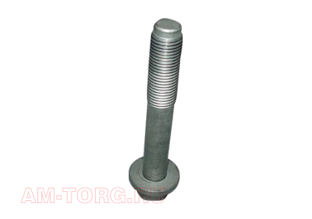 ���� ������ ��������� 100mm (��) T11-2909013 