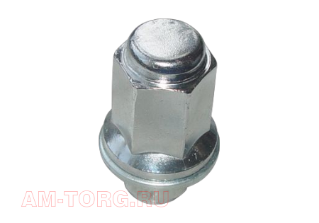 ����� �������� (��) T11-3100111 