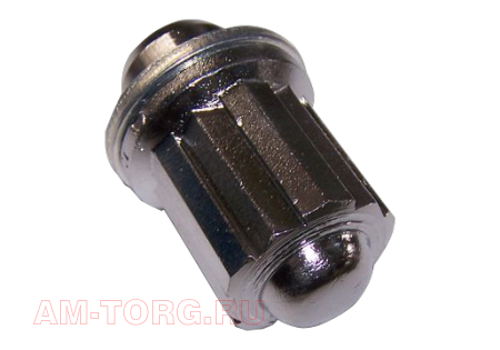 ����� �������� (��������) (��) T11-3100115 