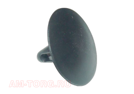 ������ (��) T11-8402225 