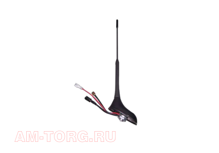 ������� (��) T11-7903011BA 