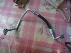 ������ ������������ (��) 1067001283 