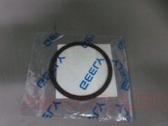 ����� �������� 2,0 (��) 3016007539 