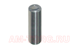 ����� ������ (��) 372-1004031 