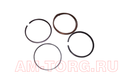 ������ ��������� (0,25) (��) 372-1DE1004030BA 