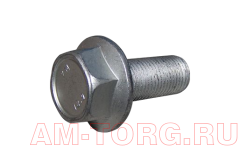 ���� ����� ����������� (��) 481F-1006075 