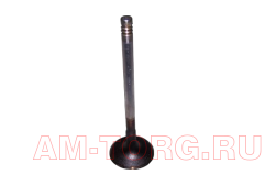 ������ �������� (��) (��) 481H-1007011BA 