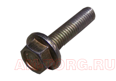 ���� (��) 481H-1007082 