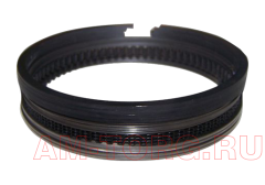 ������ ��������� (0,25) 2,0 (��) 484J-1004030BA 