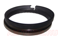 ������ ��������� (0,50) (��) 484J-1004030CA 