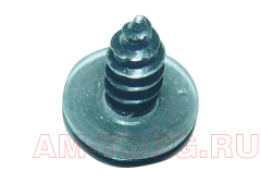 ���� (�������) (��) AQ2204295 